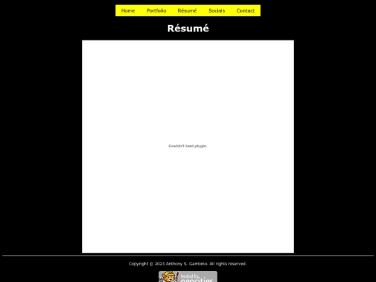 resume screenshot