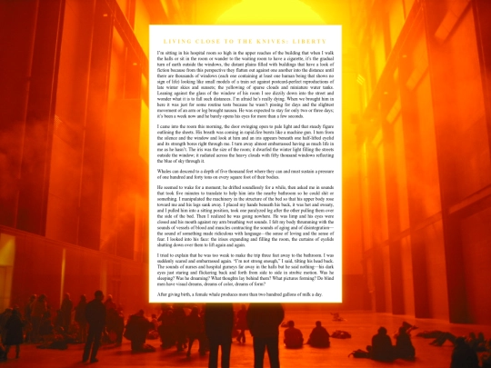 experiments/02 screenshot