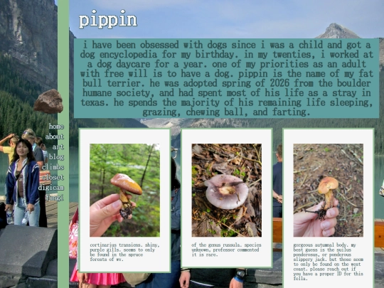 mushroom screenshot
