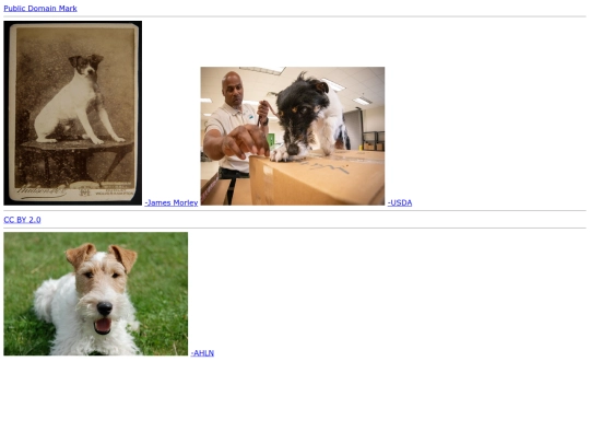 SmallDogsGallery screenshot