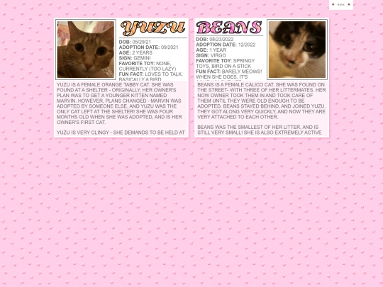 mycats screenshot