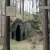 enter the woods avatar