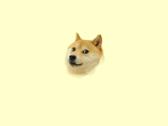 doge123 screenshot