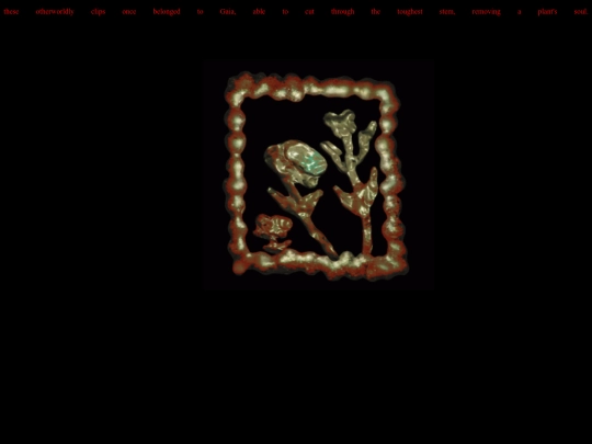 clips screenshot