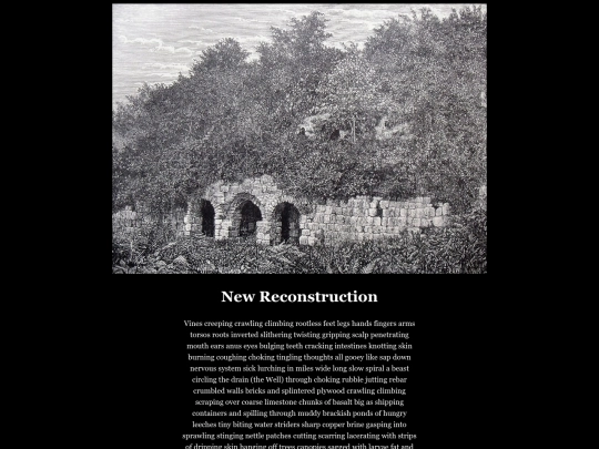 reconstruction screenshot