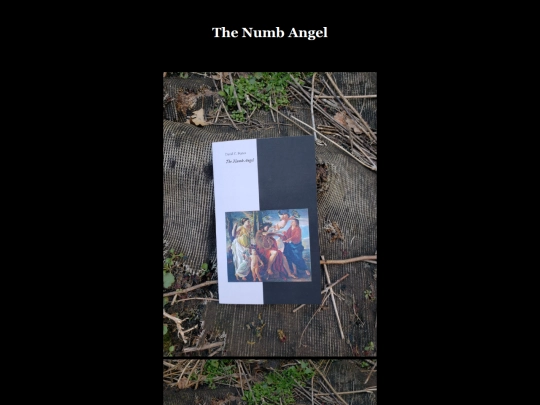 thenumbangel screenshot
