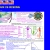 The web site of johnsteele avatar