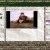 lynxslibrary.neocities.org avatar