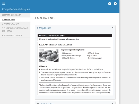 competencies/1_magdalenes screenshot