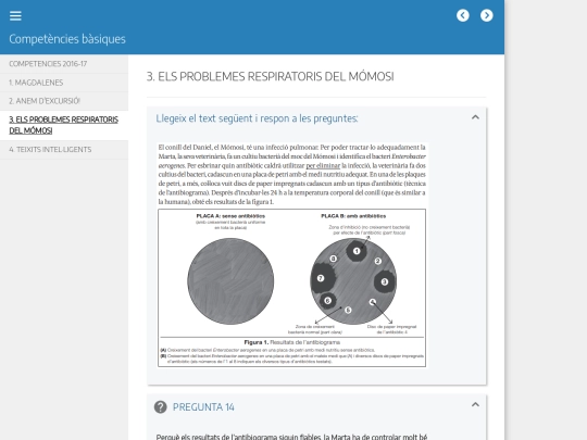 competencies/3_els_problemes_respiratoris_del_mmosi screenshot