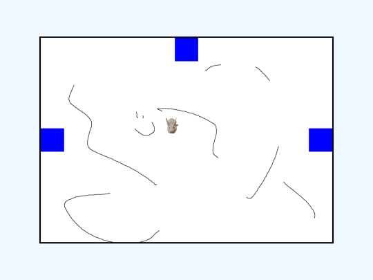 test2 screenshot