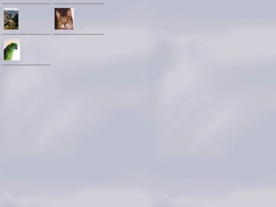 photogallery/photo26003/real screenshot