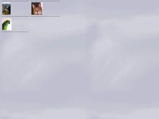 photogallery/photo26003/real_p screenshot