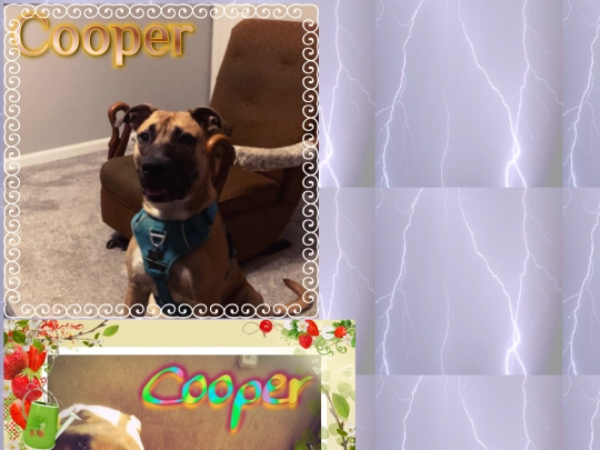 cooper screenshot