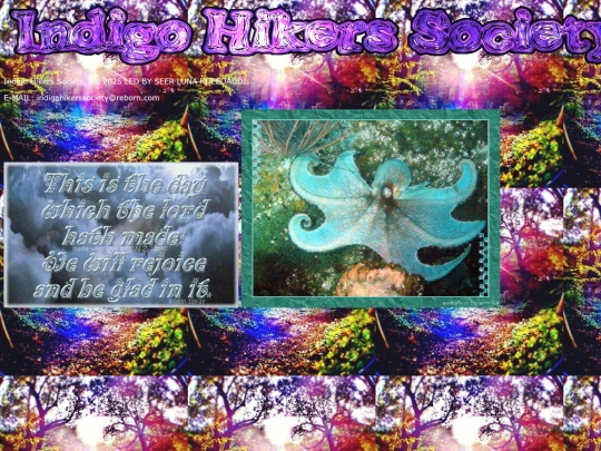 indigo screenshot