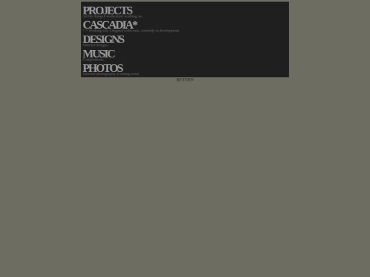 projects screenshot