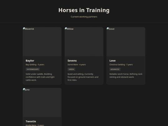 TrainingNow screenshot