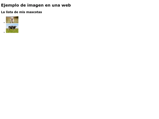 imagen screenshot