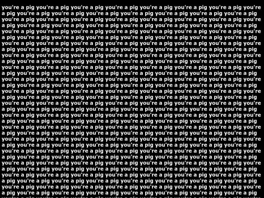 pig screenshot