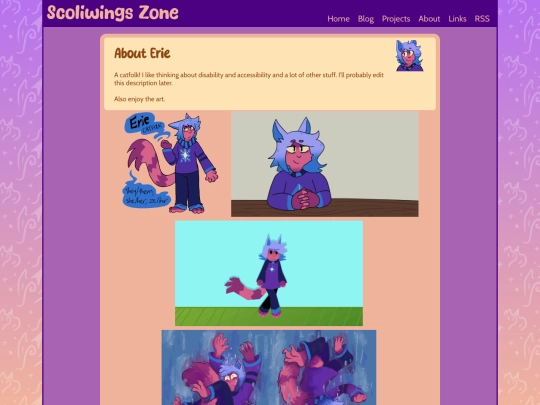 about/erie screenshot