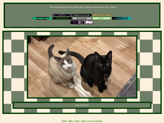 links screenshot