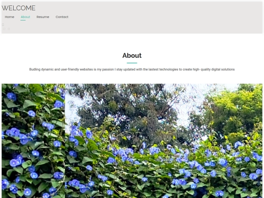 arthiweb/website/about screenshot