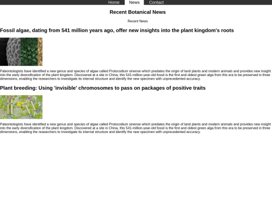 news screenshot