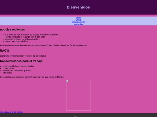 proyecto HTML screenshot