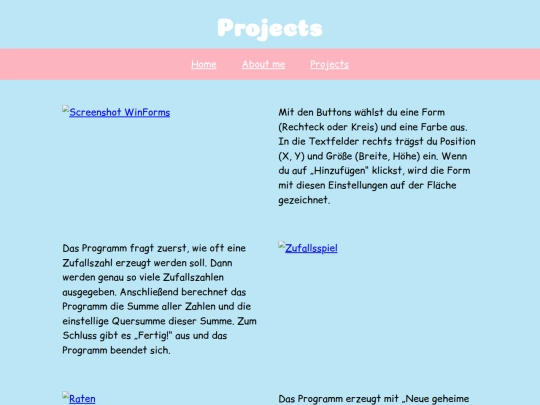 projects screenshot