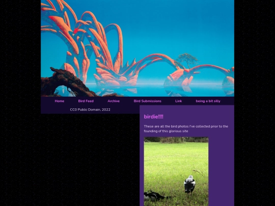 birdarchive screenshot