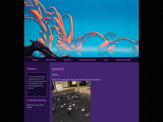 birdfeed screenshot