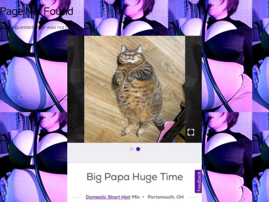 ABOUT (2) screenshot