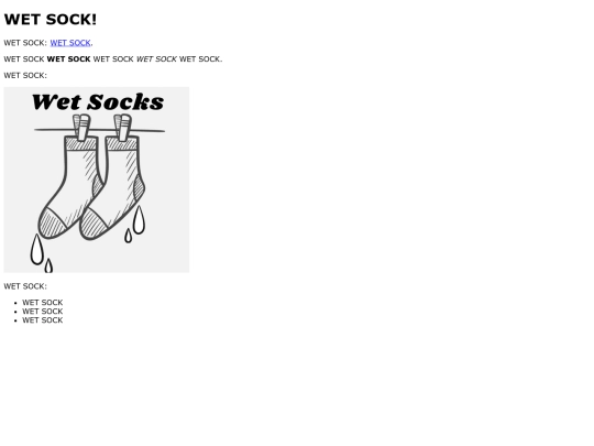 wetsock screenshot