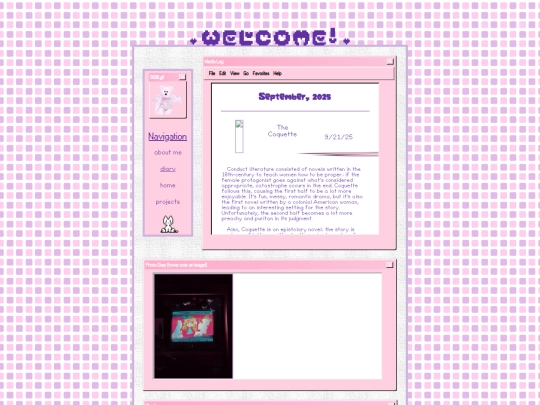 diary screenshot
