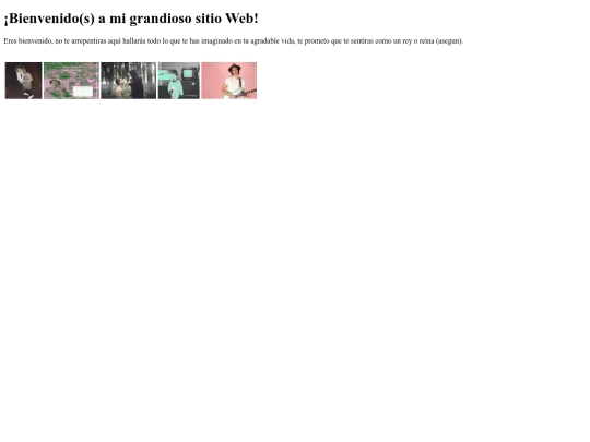 pagWeb01 screenshot