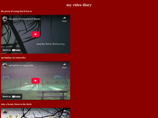 videodiary screenshot