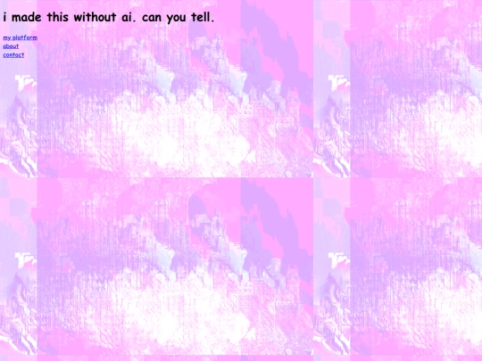 my_presidential_platform screenshot