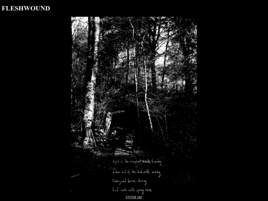 projects/fleshwound screenshot
