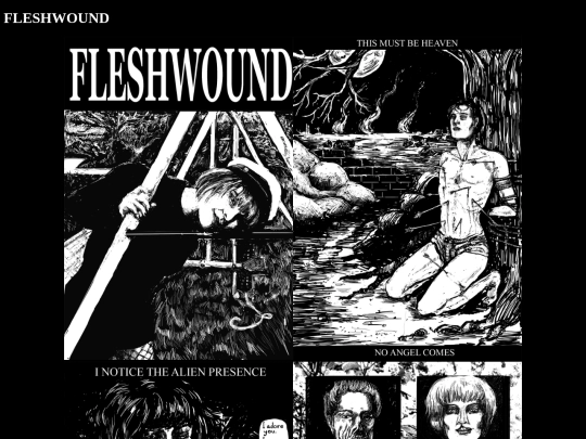 projects/fleshwound/1 screenshot
