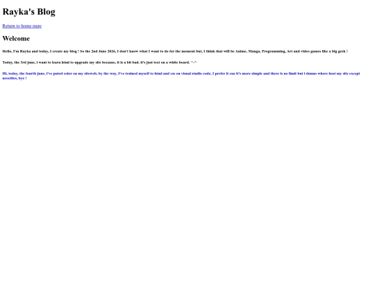 RaykasBlog screenshot
