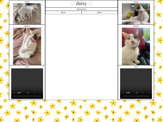 daisy webpage/daisy screenshot