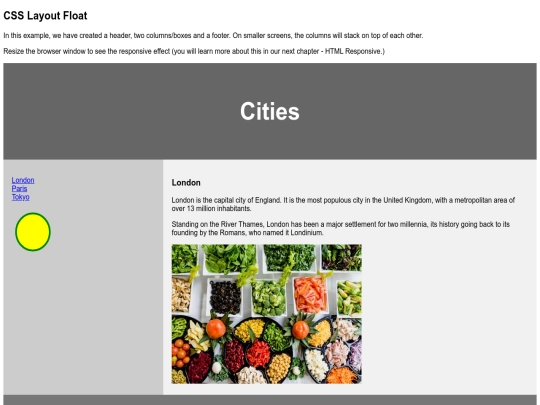 D1/layout screenshot