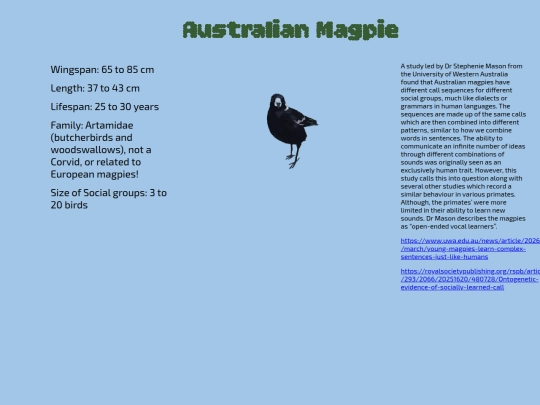 AustralianMagpie screenshot