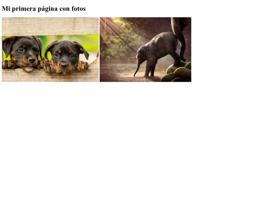 ejemplos/ejercicioFotos screenshot