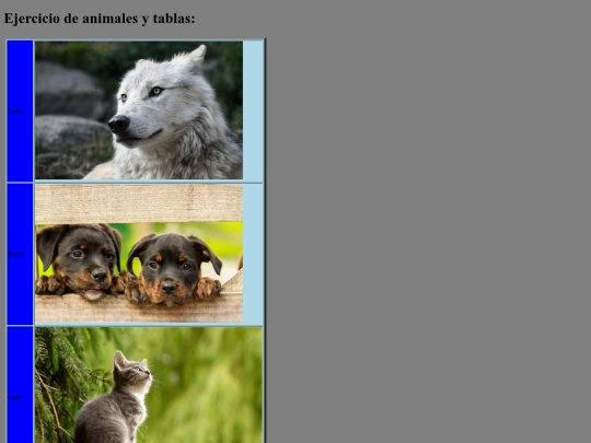 fotosejercicio screenshot