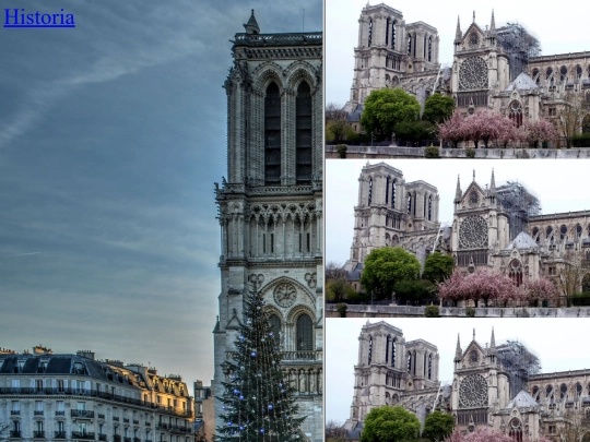 trabajofinal/notredame screenshot