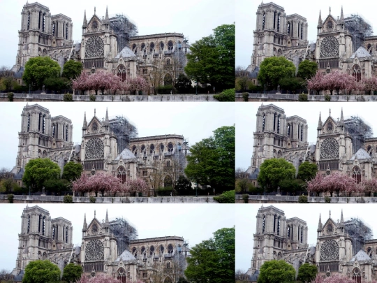trabajofinal/notredame4 screenshot