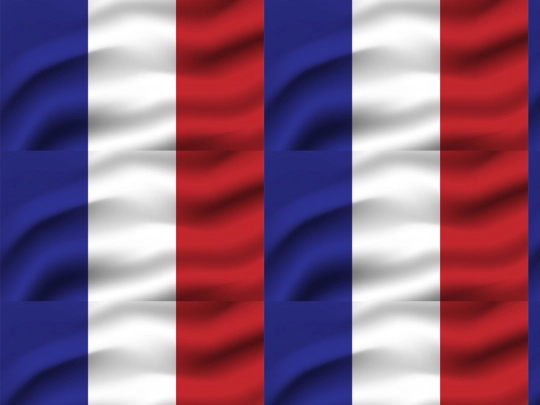 trabajofinal/principal screenshot