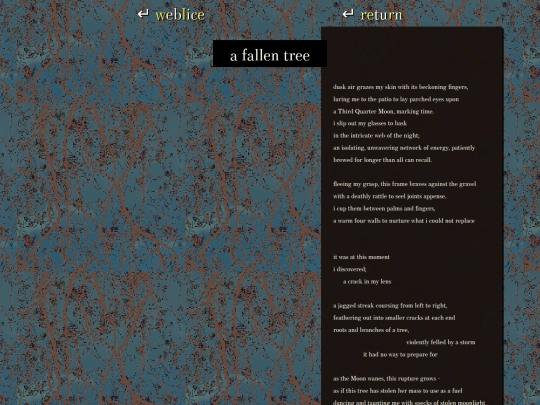 writings/fallentree screenshot