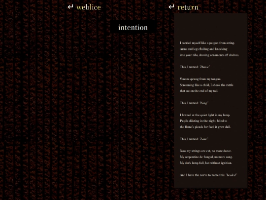 writings/intentions screenshot